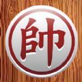 苏航穿越到综武世界，觉醒说书人系统，评说天下人物。一月
