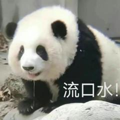 《宿命回响：弦上的叹息》今日正式公测，齐聚辛弗尼卡感受音乐之力
