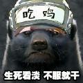 阴阳师五周年抽卡机制怎么调整的？可自选SSR角色
